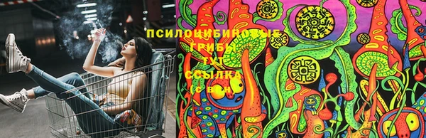 индика Баксан