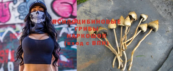 соль ск Балахна