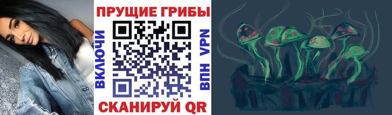 Галлюциногенные грибы Psilocybe  Углегорск 